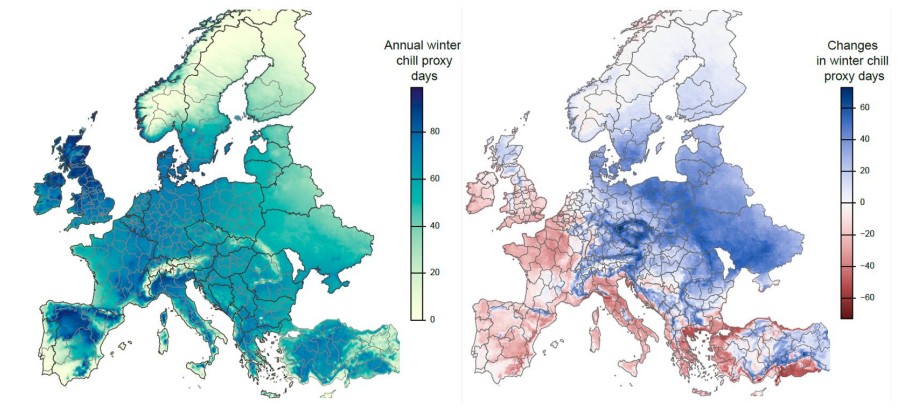Rabobank advierte: el cambio climático está redibujando el mapa frutícola de Europa 7 Rabobank advierte: el cambio climático está redibujando el mapa frutícola de Europa
