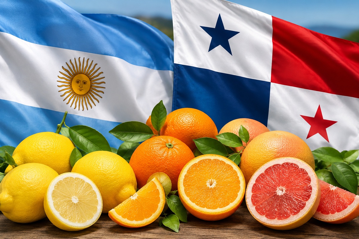 Argentina suma a Panamá como nuevo destino para limones, naranjas y pomelos 2 Argentina suma a Panamá como nuevo destino para limones, naranjas y pomelos
