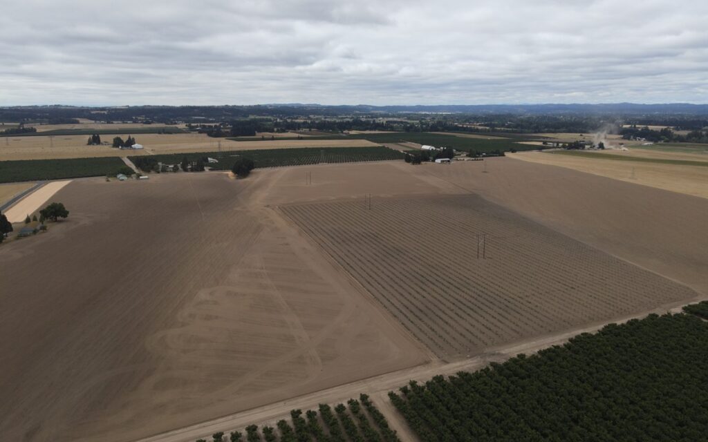 Berry Fresh amplía producción de arándanos en Oregón con nuevas plantaciones de variedades propias