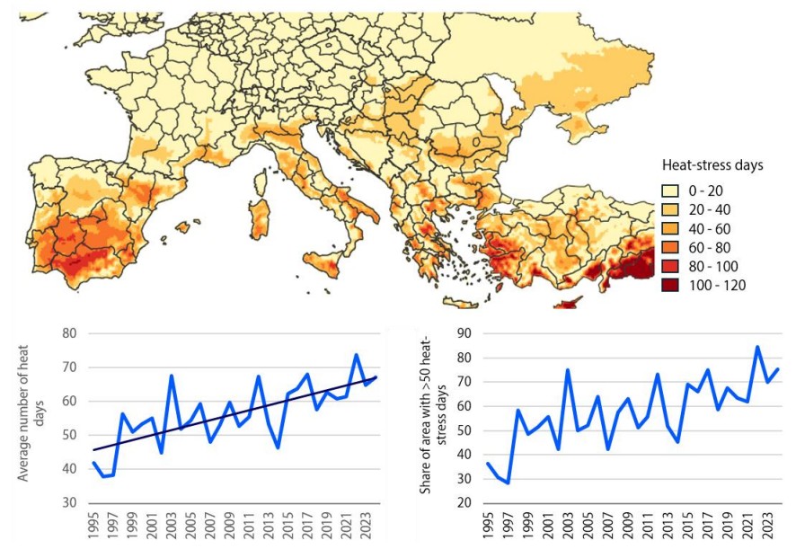 Rabobank advierte: el cambio climático está redibujando el mapa frutícola de Europa 3 Rabobank advierte: el cambio climático está redibujando el mapa frutícola de Europa