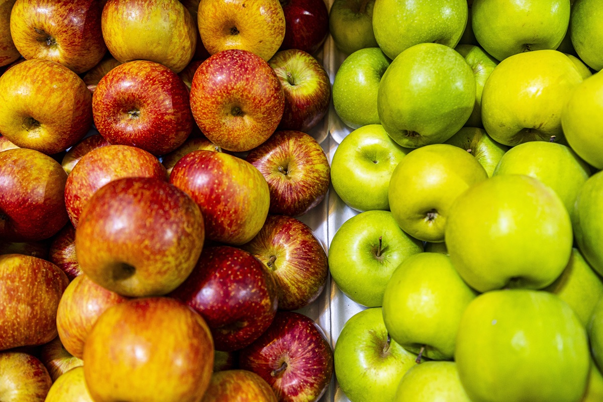 Las manzanas fueron clave en las exportaciones récord de Brasil en el primer semestre de 2026 3 Las manzanas fueron clave en las exportaciones récord de Brasil en el primer semestre de 2026
