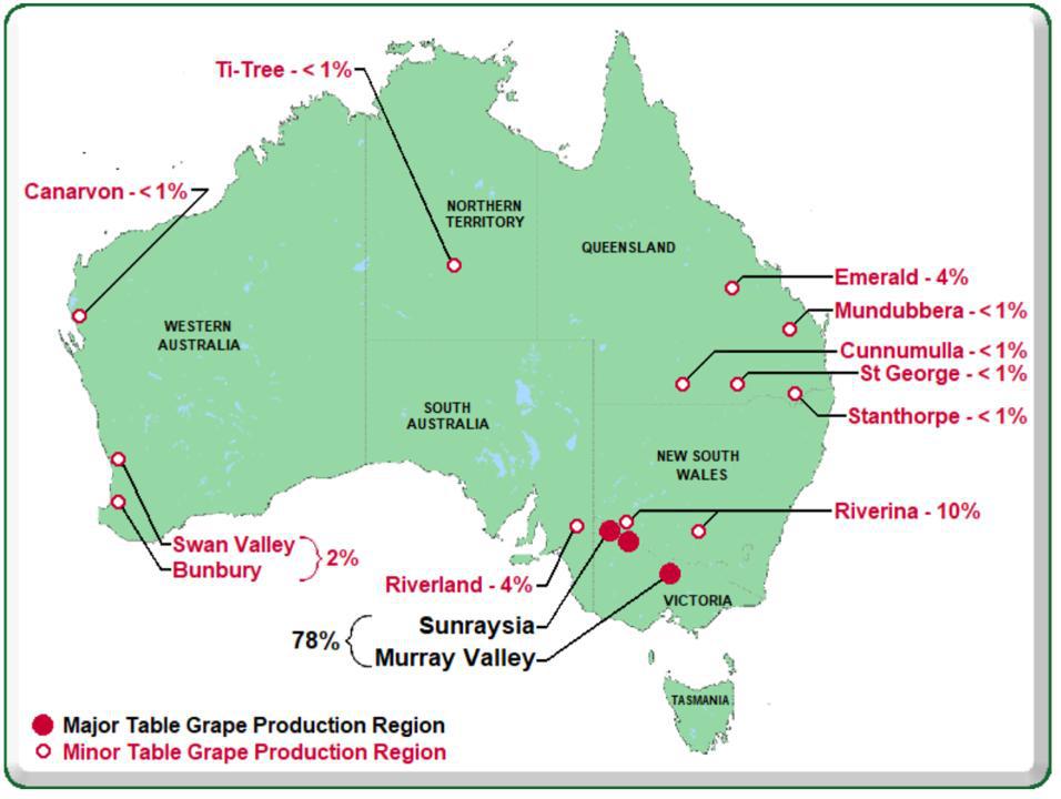 Cambio climático desafía a la industria australiana de la uva de mesa