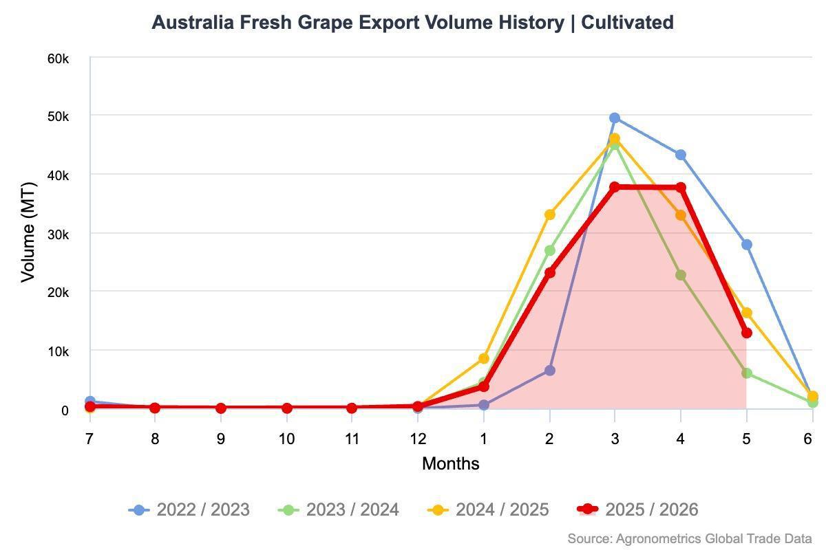 Cambio climático desafía a la industria australiana de la uva de mesa