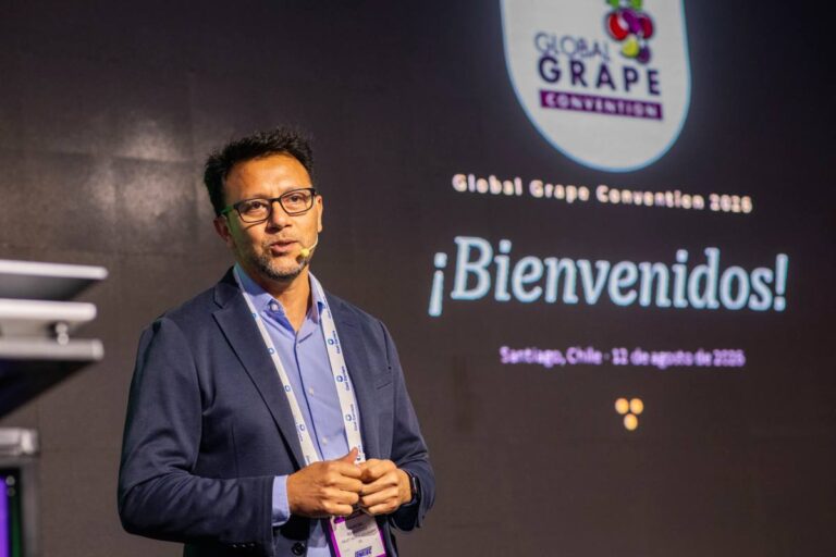 El último tramo, la clave para el mercado estadounidense de uva de mesa