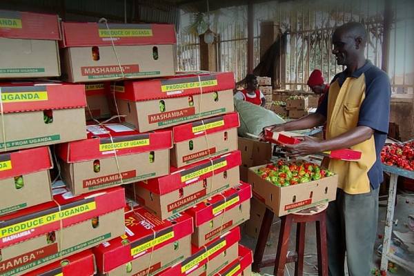 La demanda del Golfo Pérsico por productos africanos: un nuevo corredor comercial 4 La demanda del Golfo Pérsico por productos africanos: un nuevo corredor comercial