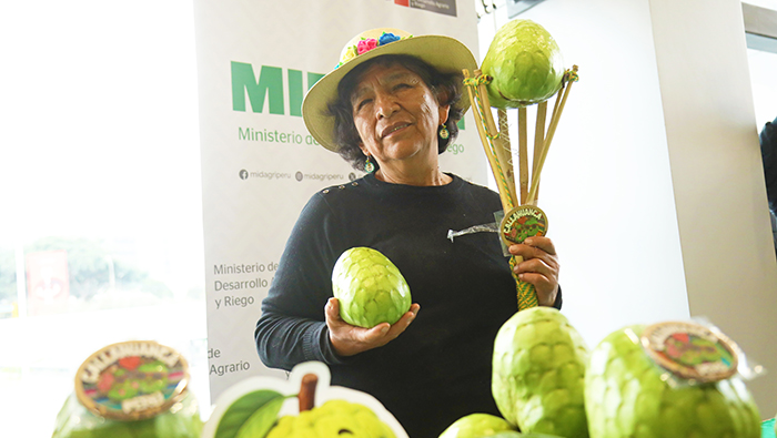 Perú produce más de 27 mil toneladas de chirimoya y fortalece su oferta exportable 3 Perú produce más de 27 mil toneladas de chirimoya y fortalece su oferta exportable