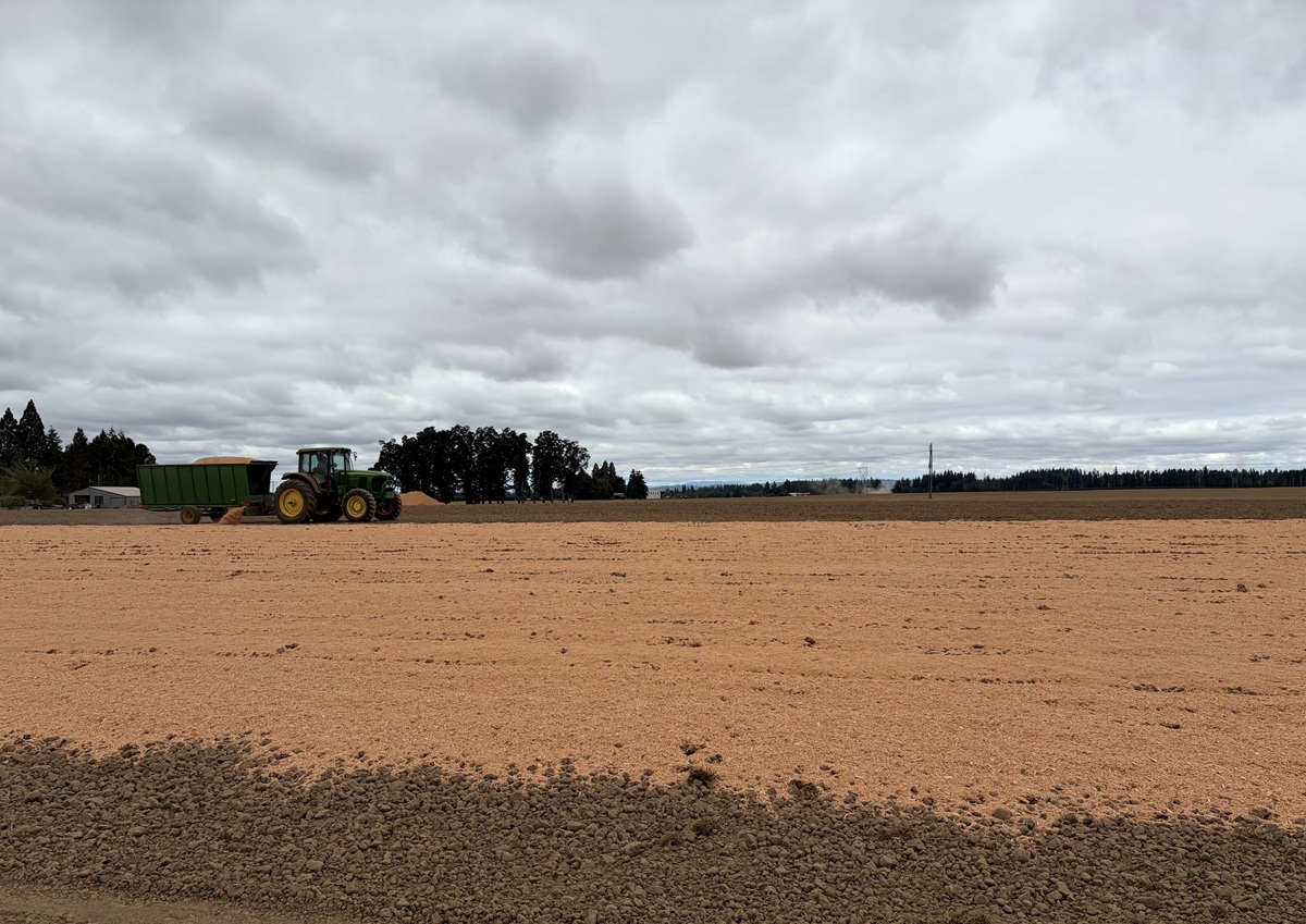 Berry Fresh amplía producción de arándanos en Oregón con nuevas plantaciones de variedades propias