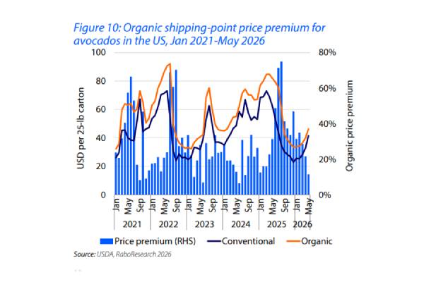 El aumento de la oferta, el crecimiento de los orgánicos y los cambios regulatorios redefinen el mercado norteamericano del aguacate 4 El aumento de la oferta, el crecimiento de los orgánicos y los cambios regulatorios redefinen el mercado norteamericano del aguacate