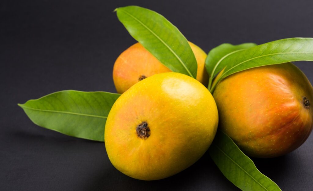 México fortalece la cadena del mango impulsando estrategias de adaptación climática