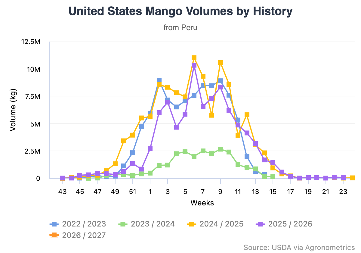 El calor récord de julio deja la floración en Piura cerca del 10%, complicando la recuperación del mango peruano