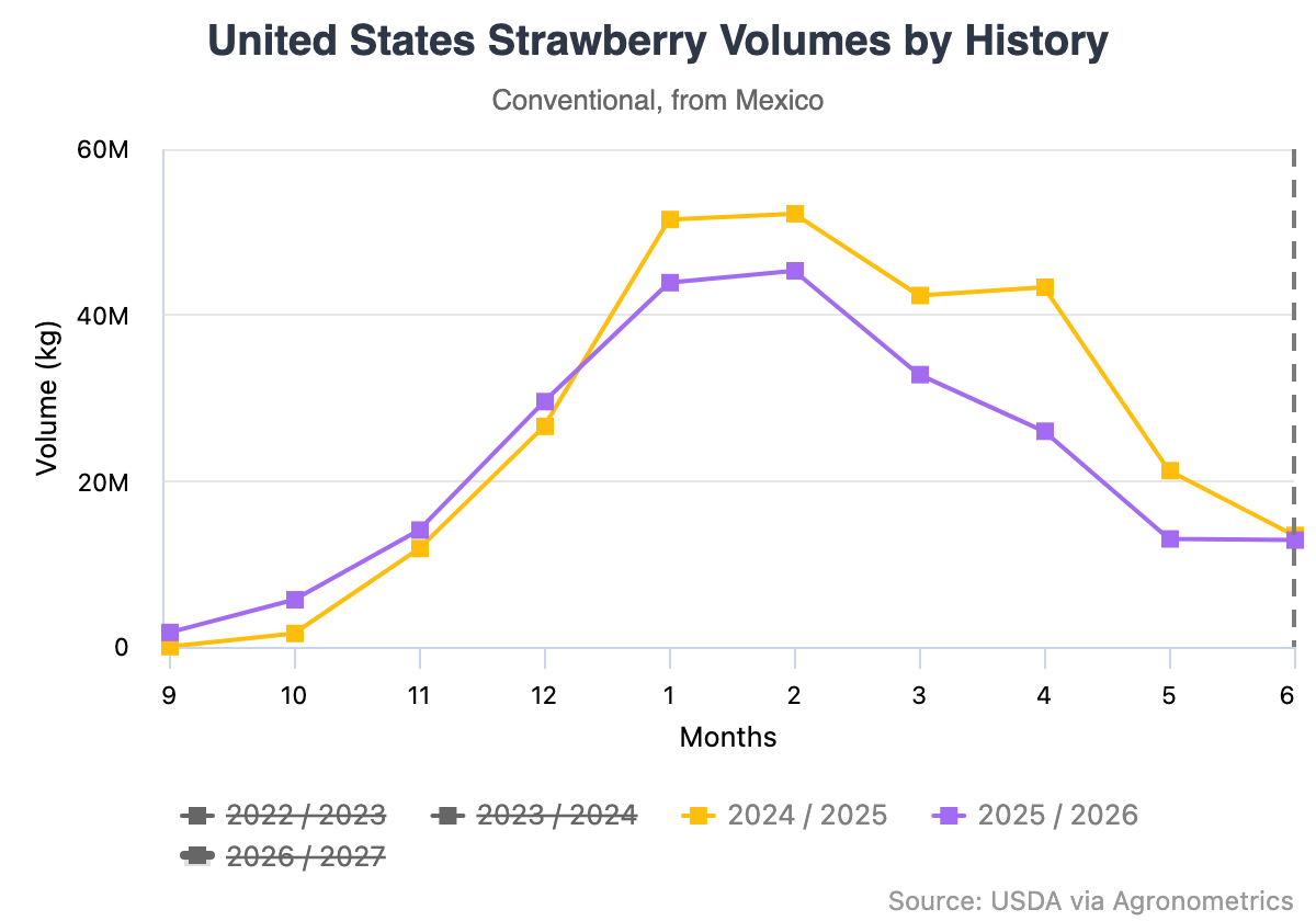 Clima errático reduce 14% los envíos de fresa de México 2 united states strawberry 22