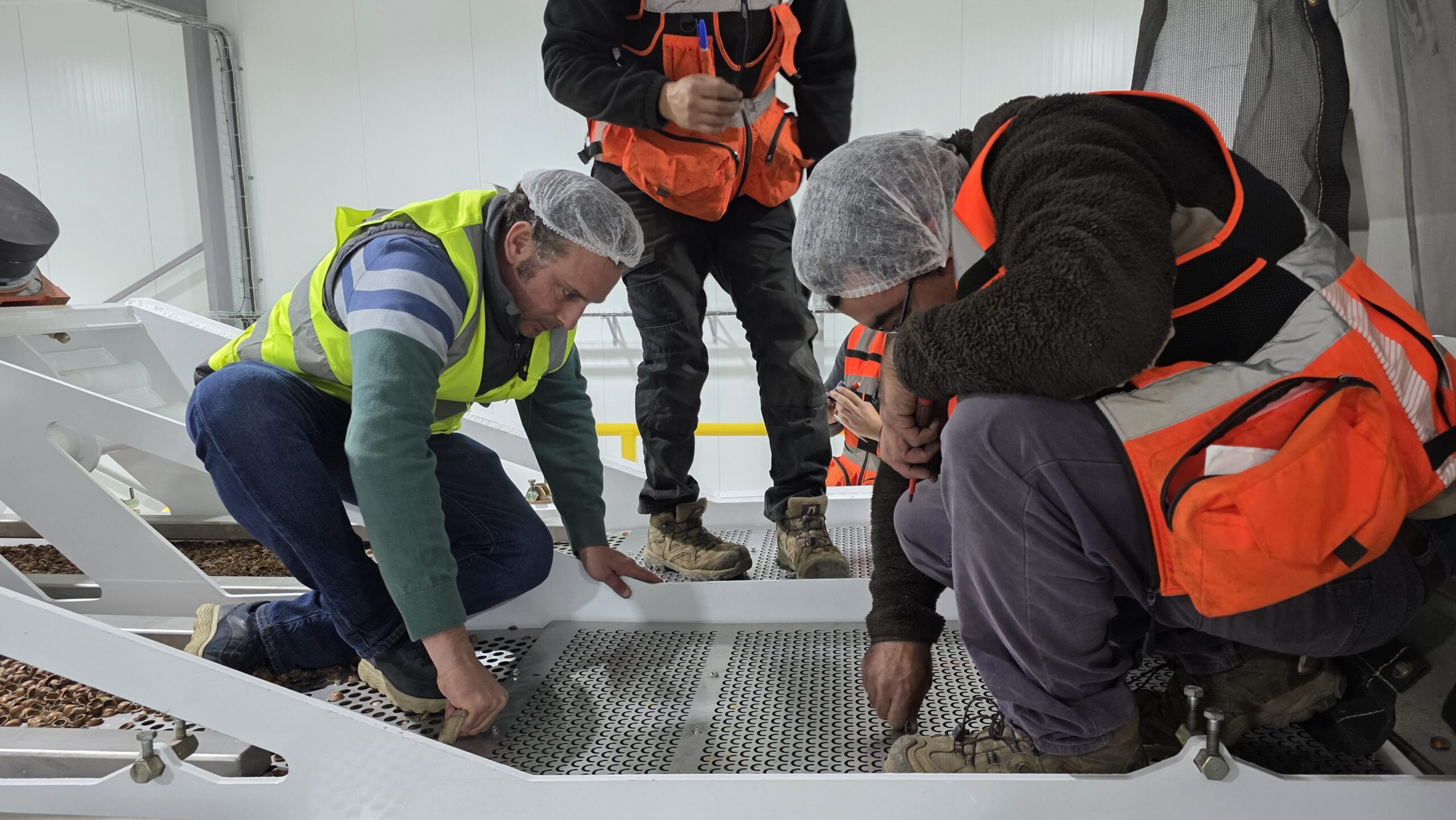 La planta de procesamiento de avellano más austral del mundo proyecta operar a plena capacidad el próximo año 4 La planta de procesamiento de avellano más austral del mundo proyecta operar a plena capacidad el próximo año