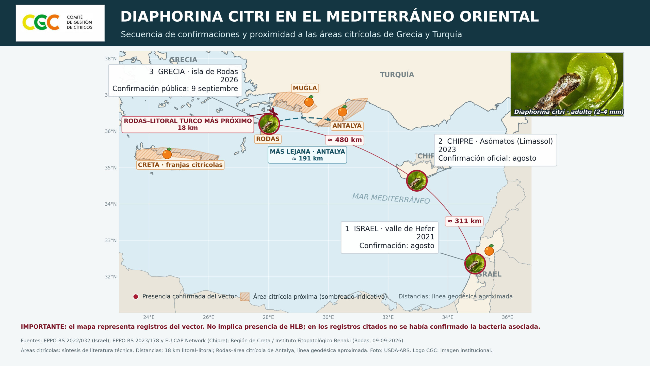 El Comité de Gestión de Cítricos pide reforzar la vigilancia del HLB tras detectar su principal vector en la isla griega de Rodas 3 CGC pide reforzar la vigilancia del HLB tras detectar su principal vector en la isla griega de Rodas