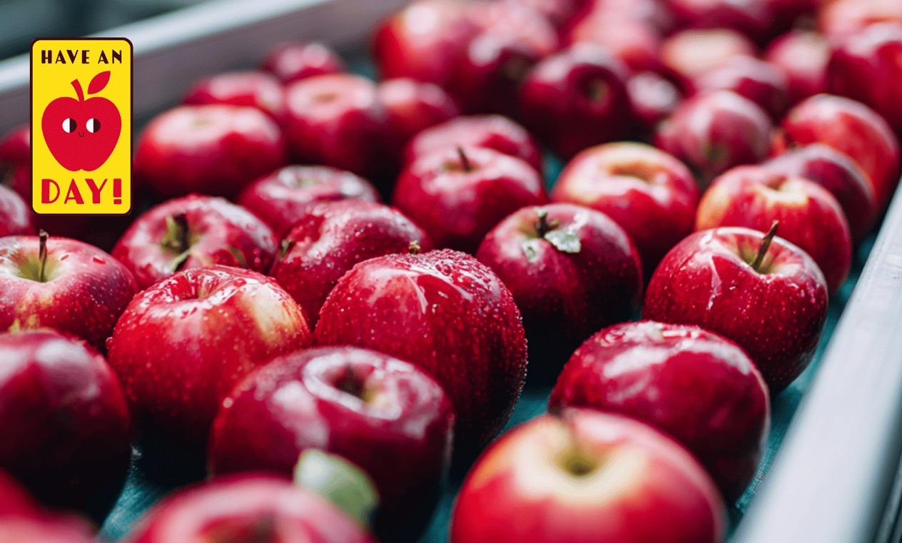 Consumidores brasileños exigen más trazabilidad y abren espacio para el crecimiento de la manzana europea 6 Consumidores brasileños exigen más trazabilidad y abren espacio para el crecimiento de la manzana europea