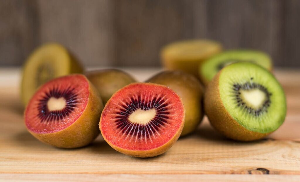 Zespri invierte en el desarrollo de biocontrol contra devastadora enfermedad del kiwi