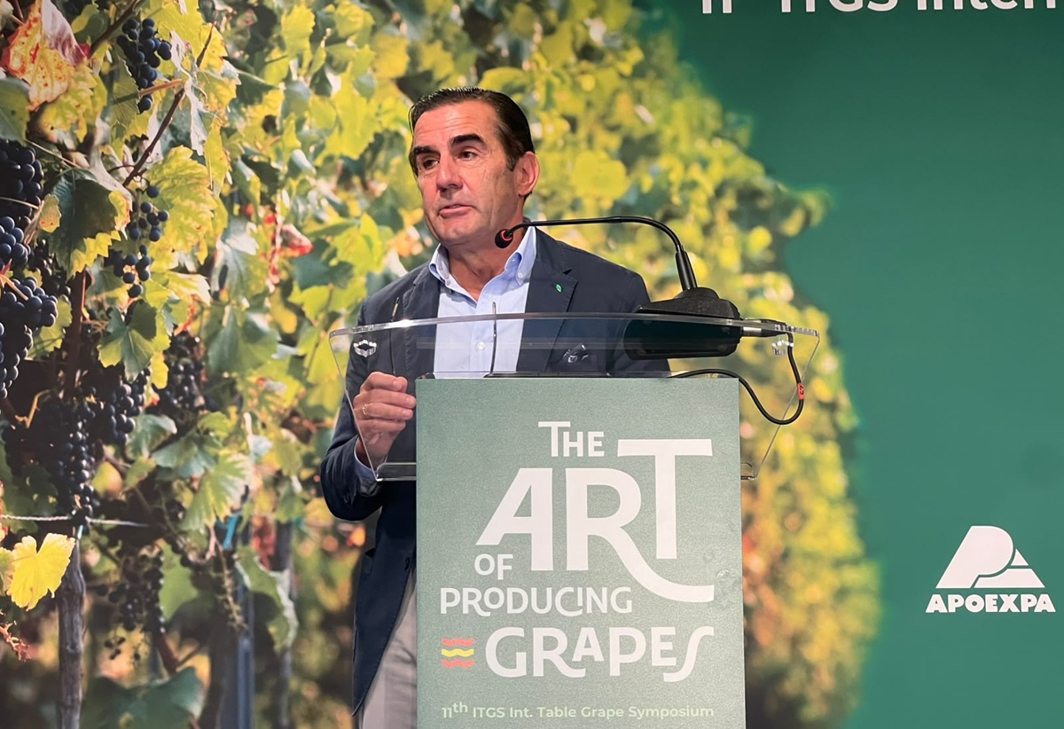 Murcia se convierte en capital mundial de la uva de mesa con la celebración del 11th International Table Grape Symposium 