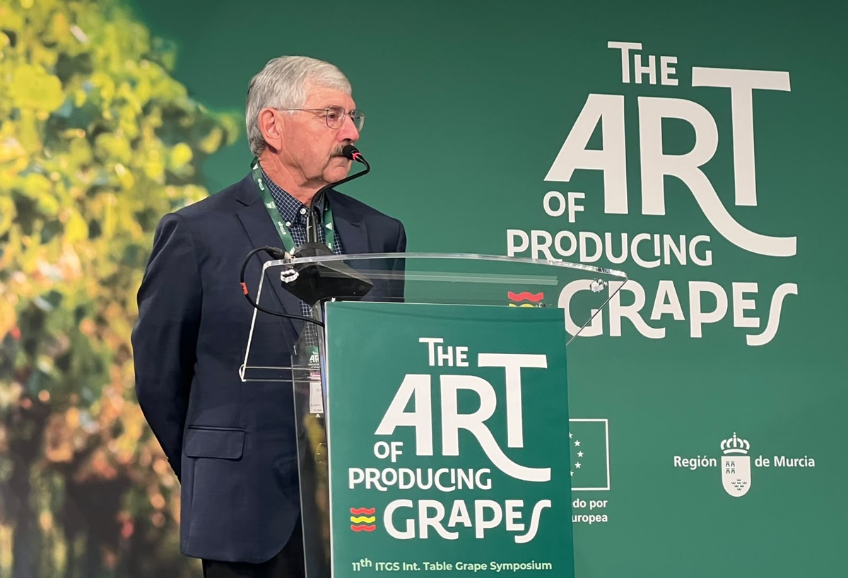 Murcia se convierte en capital mundial de la uva de mesa con la celebración del 11th International Table Grape Symposium 