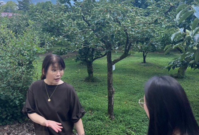 Escasez hídrica y de mano de obra: los aprendizajes de Japón para la fruticultura chilena 4 Recorrido por los huertos de Japón