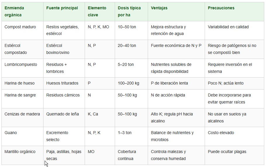 frutas orgánicas