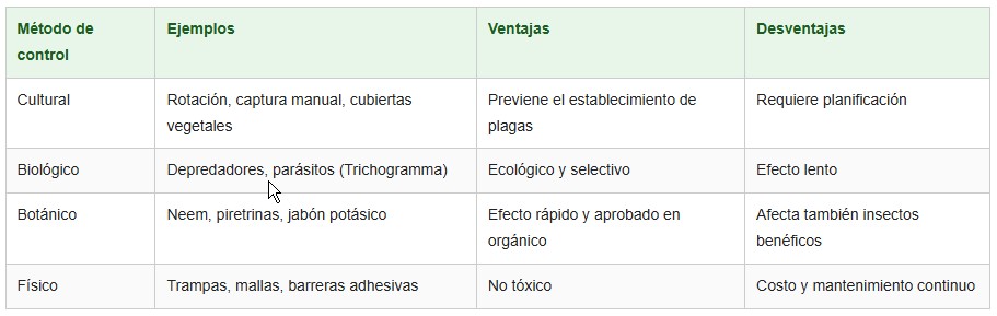frutas orgánicas