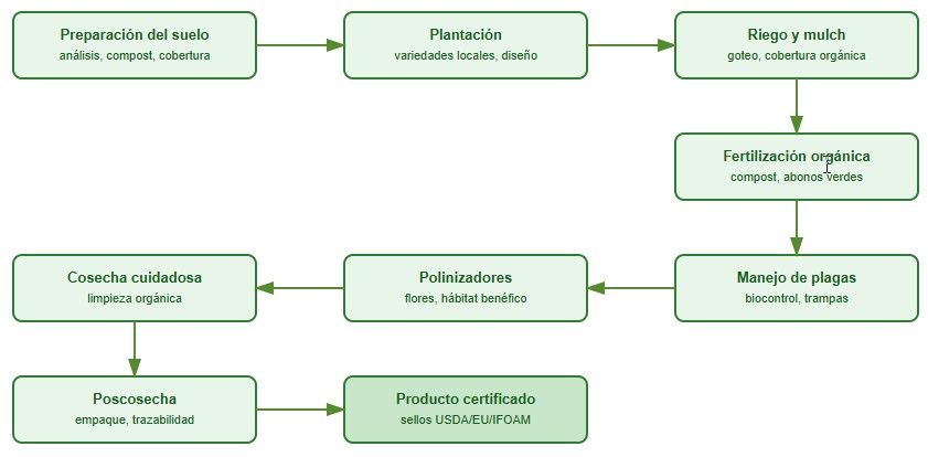 frutas orgánicas