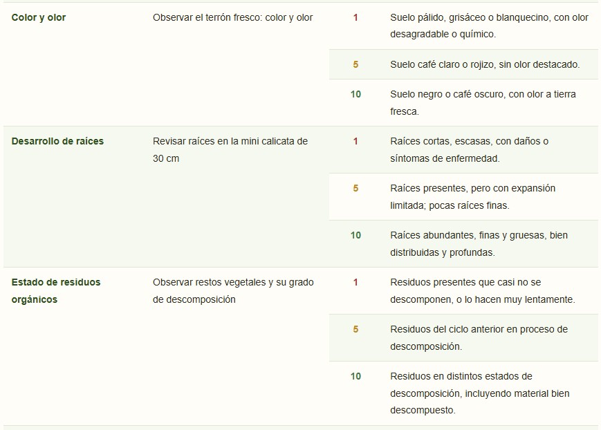 calidad del suelo