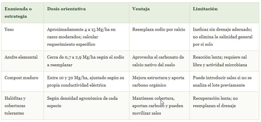 salinidad del suelo