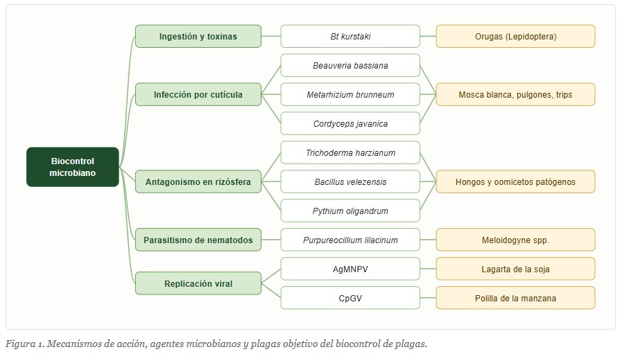 Biocontrol de plagas