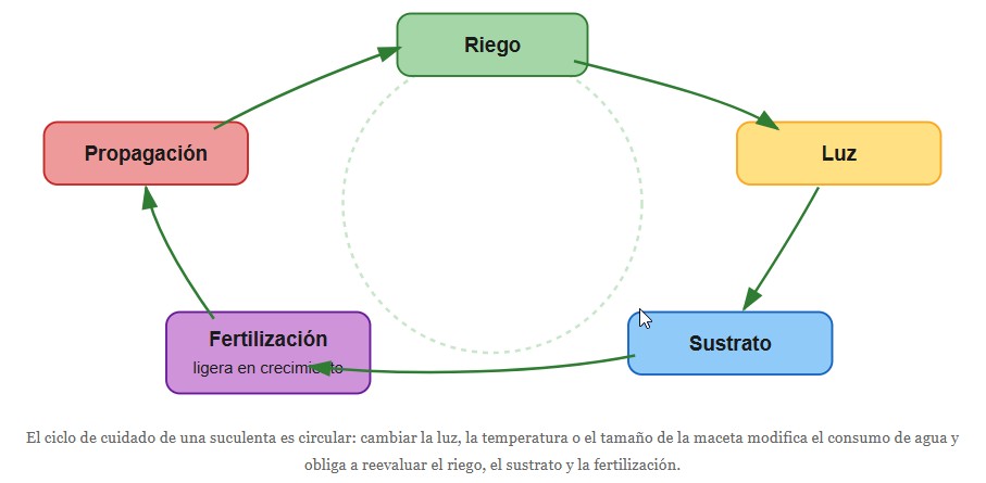 plantas suculentas