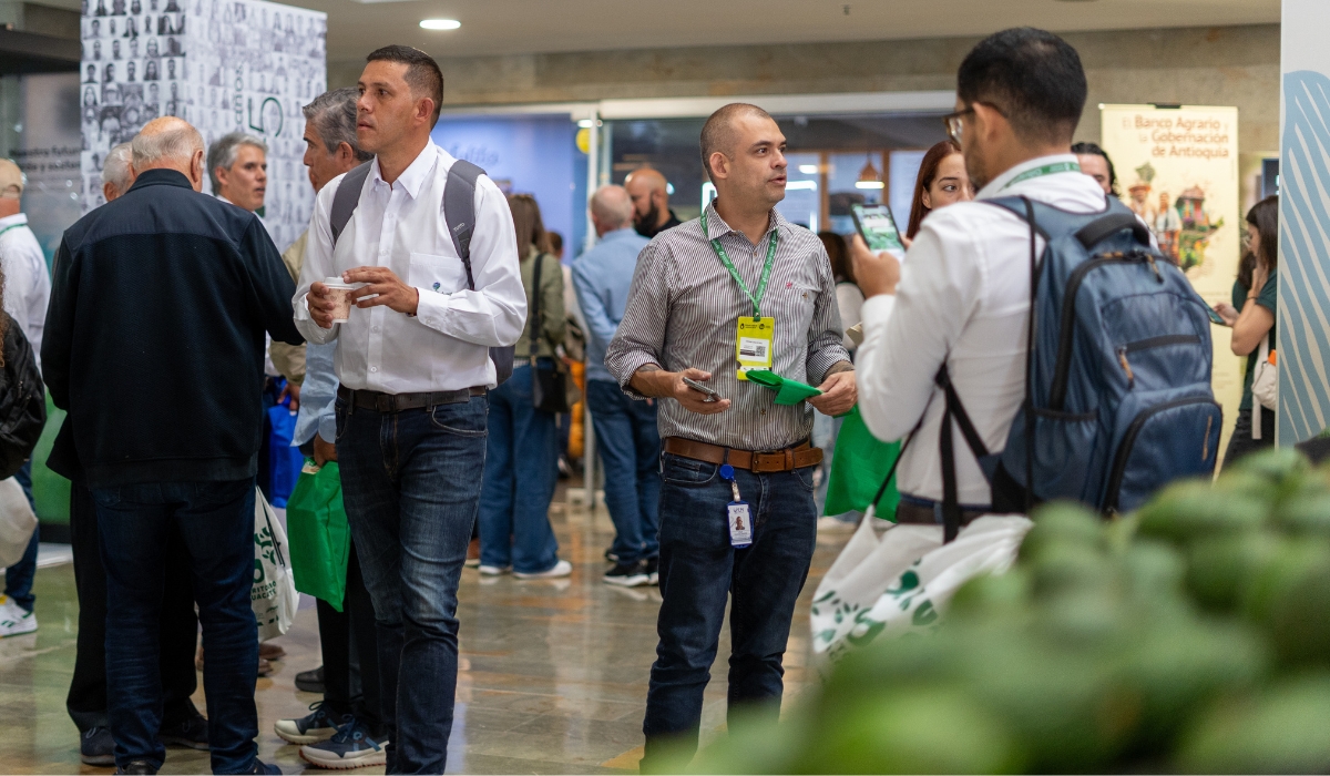 Colombia pone al aguacate Hass en el centro de la conversación sobre competitividad, innovación y negocios 3 Colombia pone al aguacate Hass en el centro de la conversación sobre competitividad, innovación y negocios