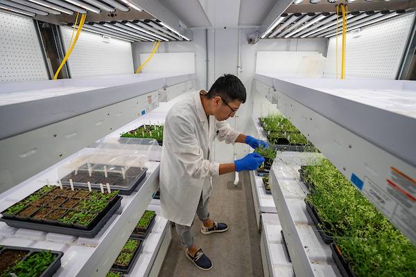 Investigadores envían semillas de uva al espacio para estudiar los efectos genéticos de la radiación solar en las plantas