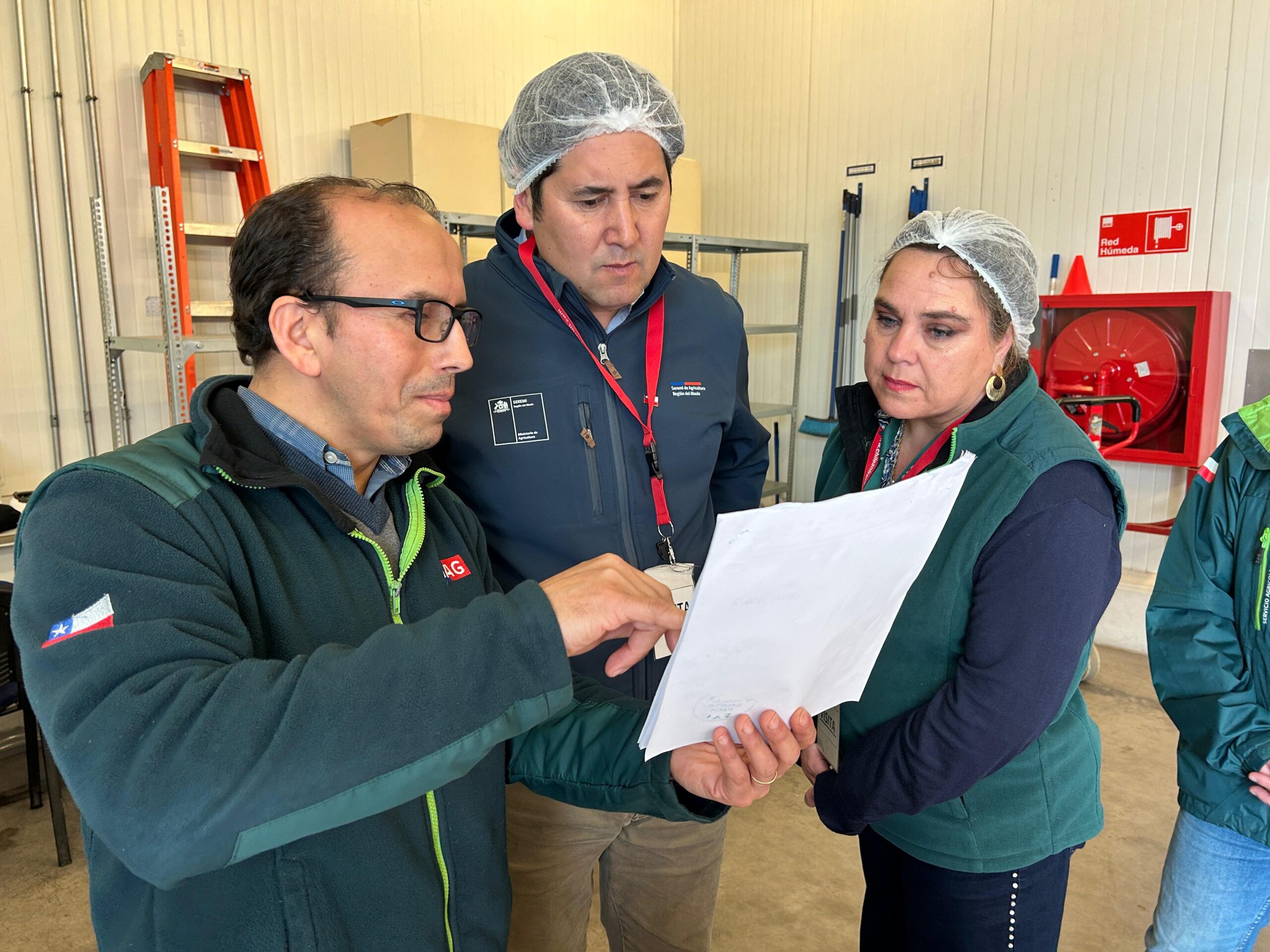 Fruta chilena bate récord en Teno: más de 14 millones de cajas fueron inspeccionadas para Estados Unidos 6 Fruta chilena bate récord en Teno: más de 14 millones de cajas fueron inspeccionadas para Estados Unidos