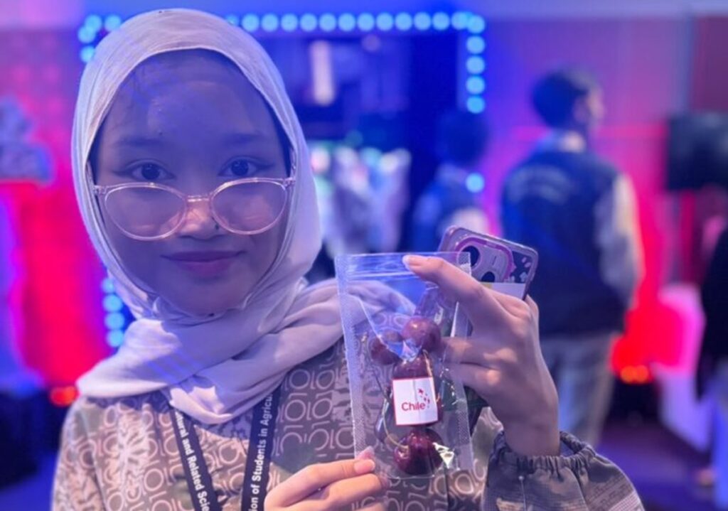Indonesia abre una nueva ventana para la fruta chilena: un mercado que crece y busca productos premium