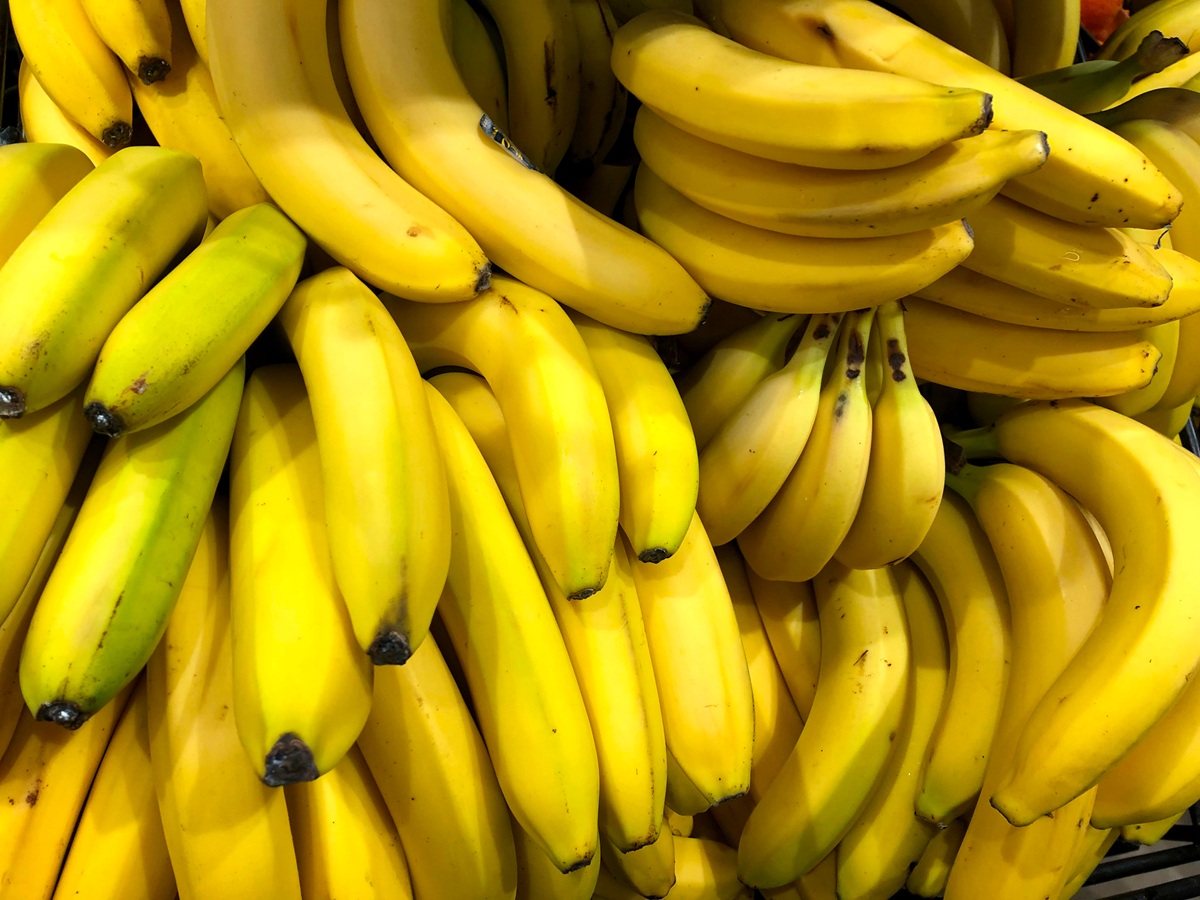 Banano de Ecuador gana mercados y crece 9,64% hasta agosto 1 Banano de Ecuador gana mercados y crece 9,64% hasta agosto