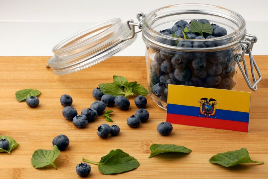 Exportaciones de frutas ecuatorianas aceleran su crecimiento y amplían presencia internacional