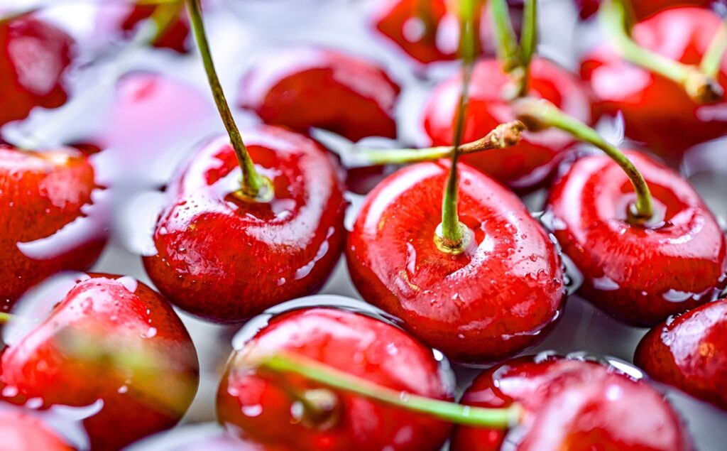 Producción australiana de cerezas caerá 15% por déficit de horas de frío invernal