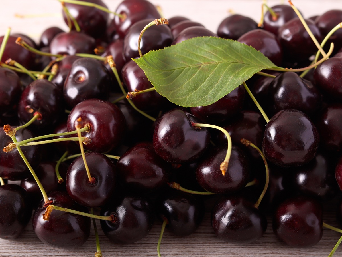 Producción australiana de cerezas caerá 15% por déficit de horas de frío invernal 6 Producción australiana de cerezas caerá 15% por déficit de horas de frío invernal