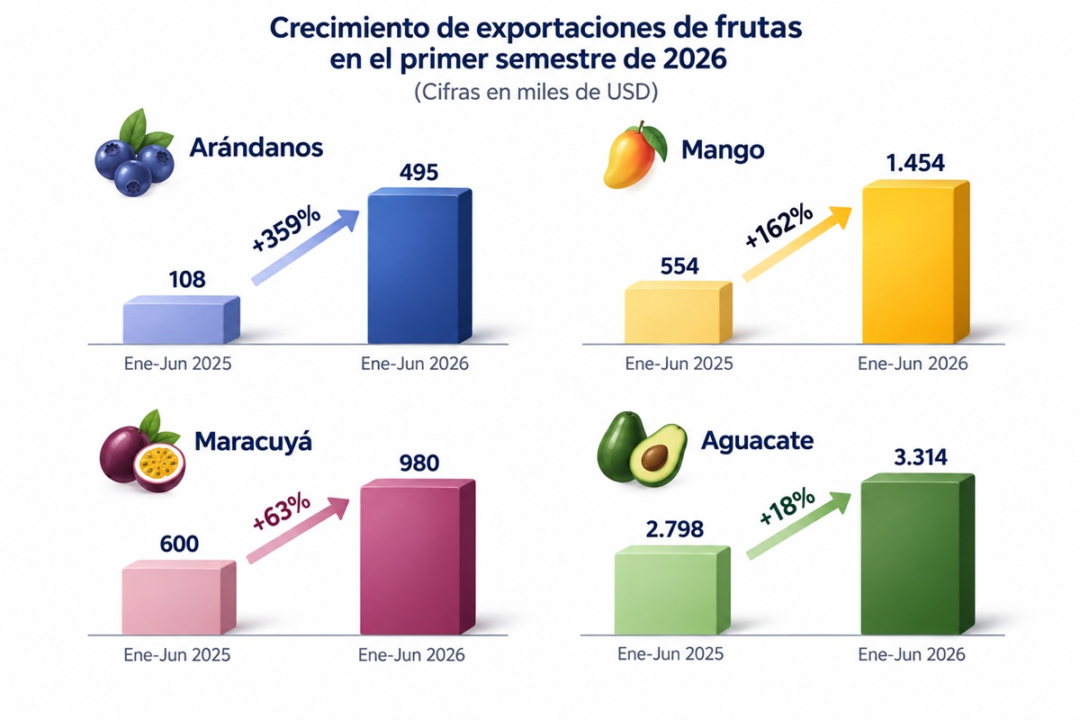 Exportaciones de frutas ecuatorianas aceleran su crecimiento y amplían presencia internacional 3 Exportaciones de frutas ecuatorianas aceleran su crecimiento y amplían presencia internacional