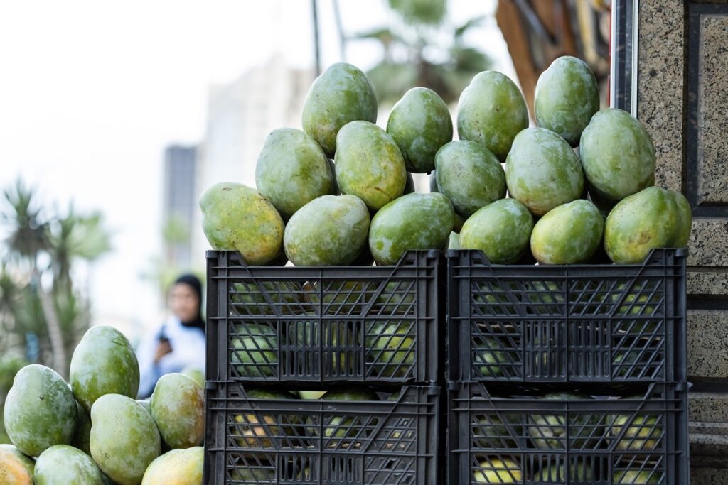 El mango egipcio desafía a los gigantes y acelera su conquista de Europa