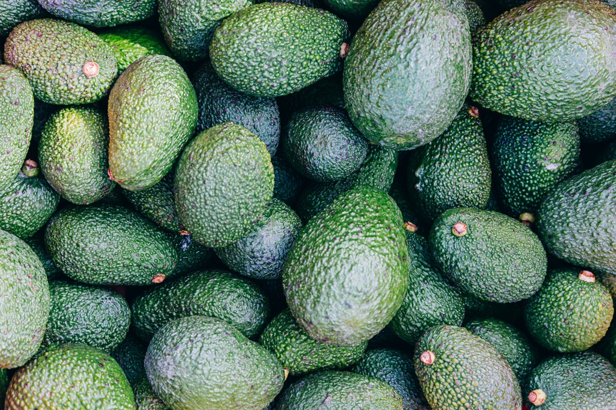 Consumo de aguacate crece en Italia y Halaesa acelera su expansión productiva en Sicilia 2 Consumo de aguacate crece en Italia y Halaesa acelera su expansión productiva en Sicilia