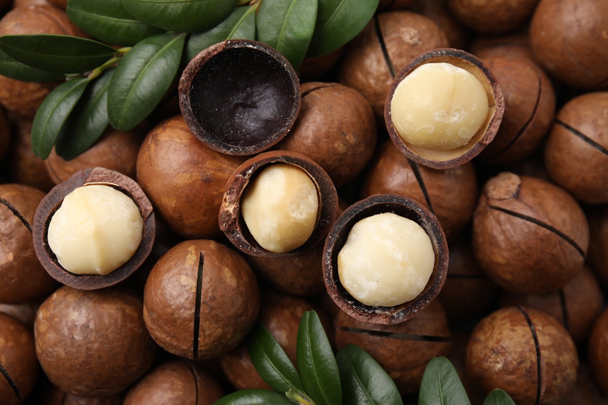 Industria sudafricana de la macadamia pone el foco en aumentar el valor por hectárea