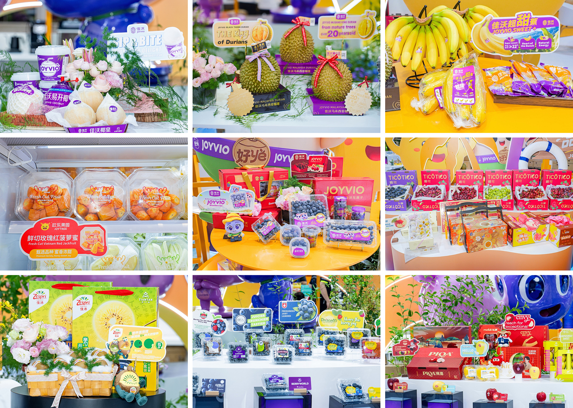 Impulsando la APEC a través de la fruta: el Grupo Joy Wing Mau sobresale en ASIA FRUIT LOGISTICA 2026 4 El Grupo Joy Wing Mau sobresale en ASIA FRUIT LOGISTICA 2026