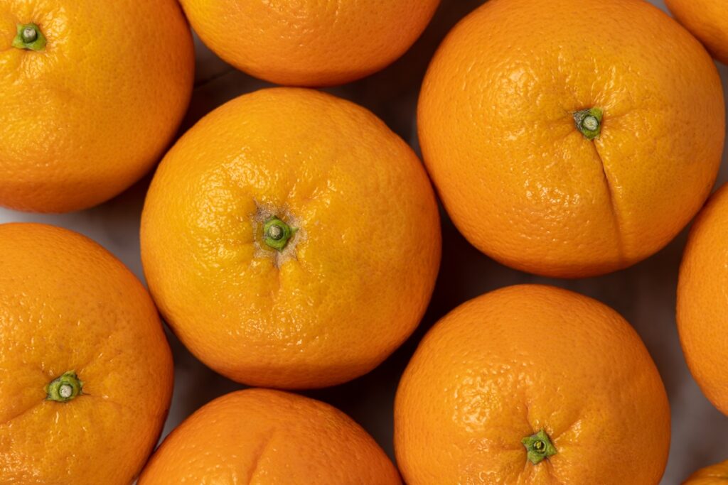Sudáfrica cierra las exportaciones de naranjas Valencia a la Unión Europea para 2026