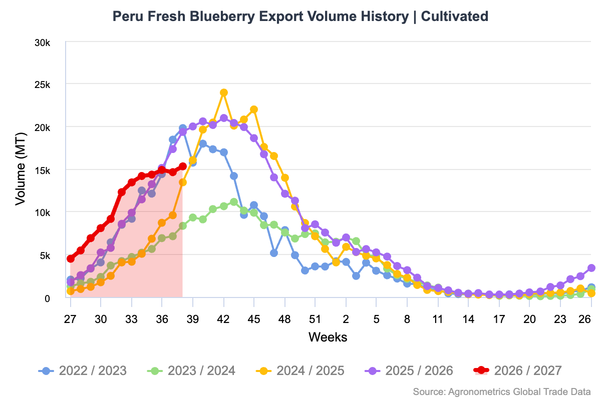 El Niño generaría millones de dólares en pérdidas en las exportaciones agrícolas de Perú