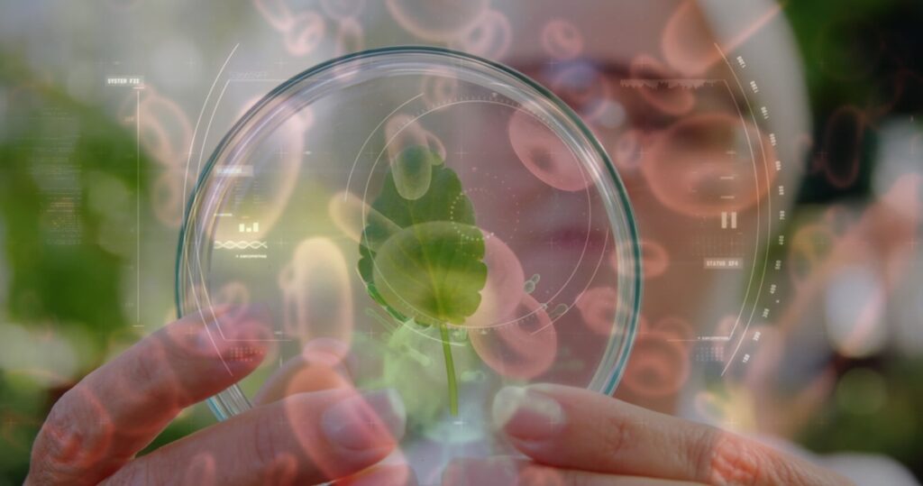 Biovegen sella una alianza con SECH para facilitar el acceso a proyectos y empresas biotecnológicas