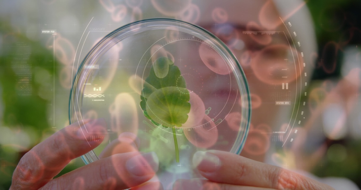 Biovegen sella una alianza con SECH para facilitar el acceso a proyectos y empresas biotecnológicas