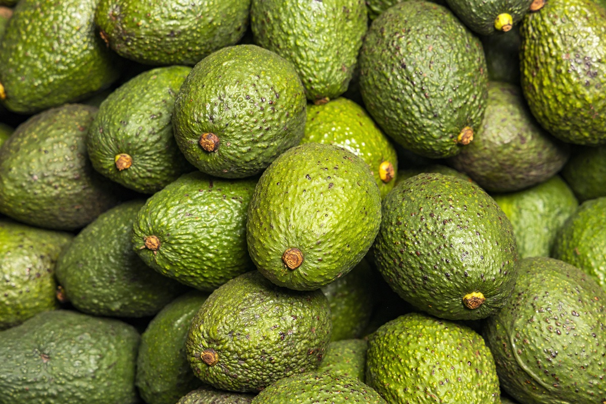 Colombia: Ministerio de Agricultura anuncia medidas para fortalecer la productividad y competitividad del aguacate Hass