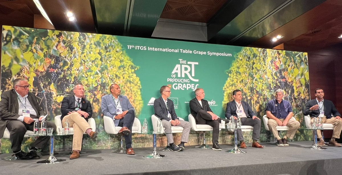 Murcia se convierte en la capital mundial de la uva de mesa con el 11th International Table Grape Symposium