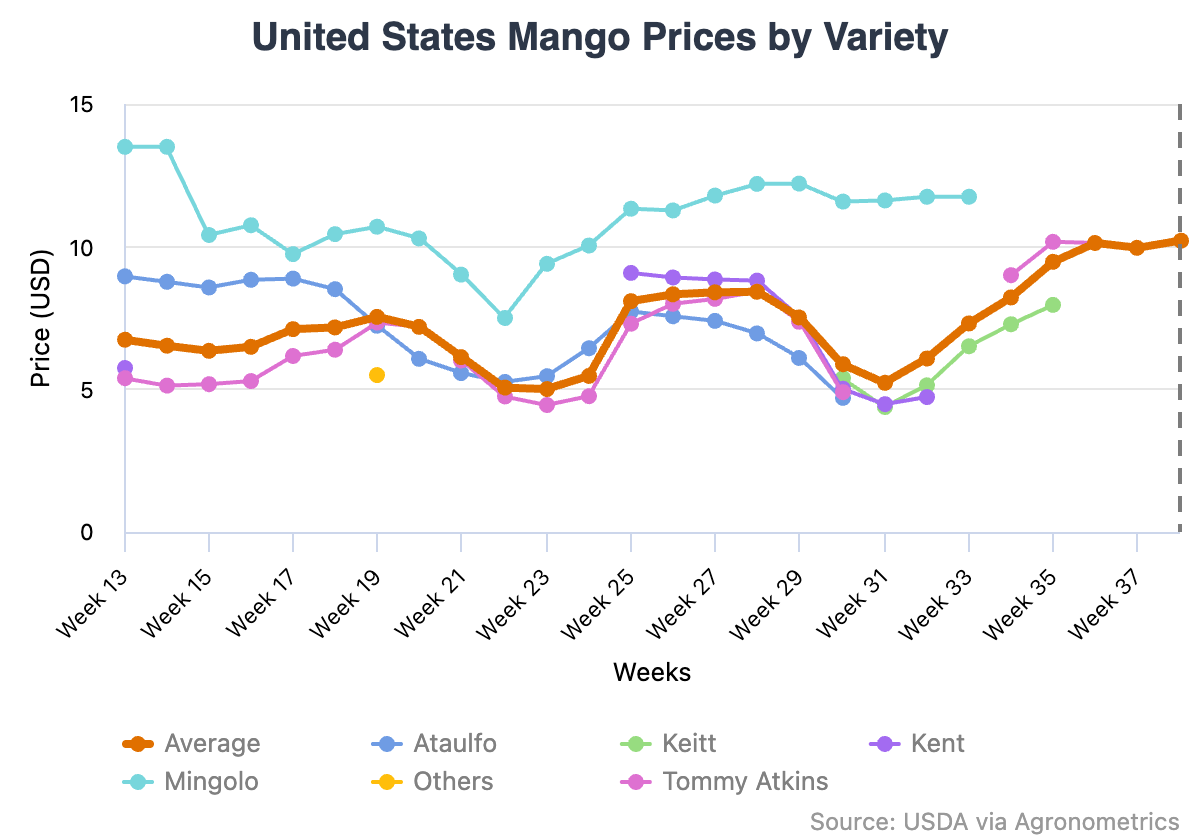 El Niño presiona los precios del mango en Estados Unidos 3 Preocupación por la oferta de mango por El Niño presiona los precios en Estados Unidos