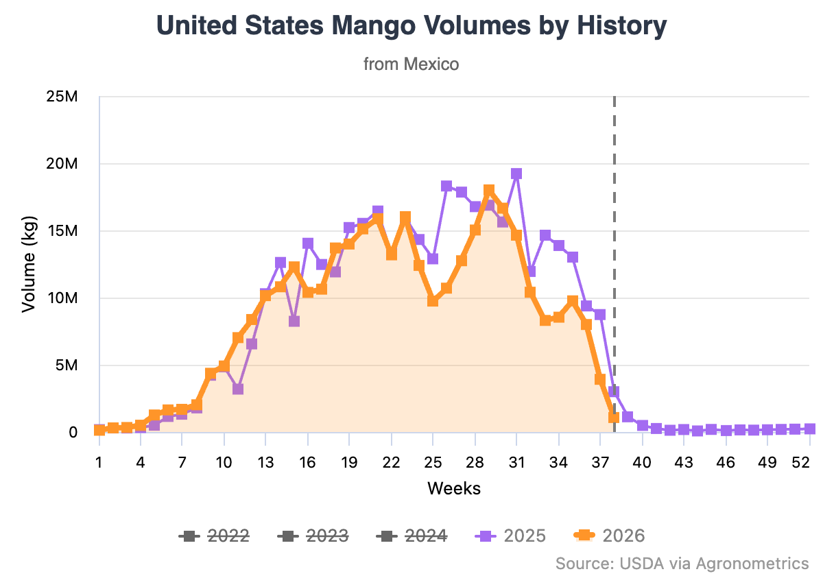 El Niño presiona los precios del mango en Estados Unidos 1 Preocupación por la oferta de mango por El Niño presiona los precios en Estados Unidos